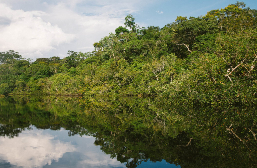 Amazonas