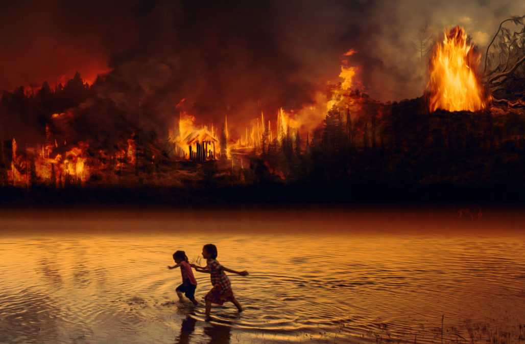 Feuer im Amazonas