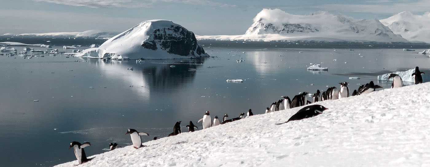 Lebensraum Antarktis Petitionen