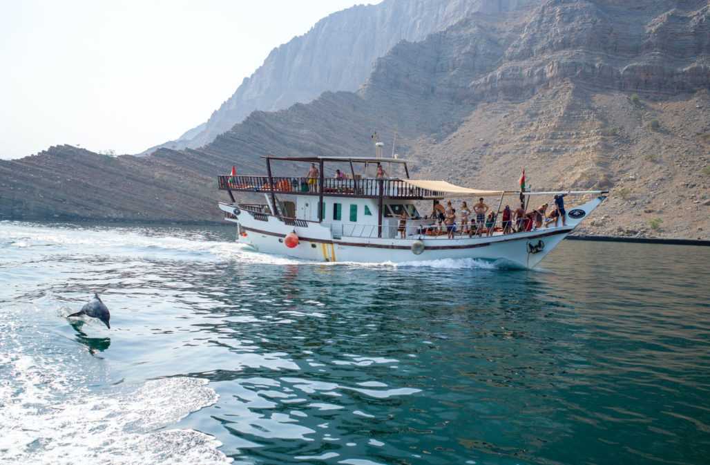 Touristen beobachten Delfine