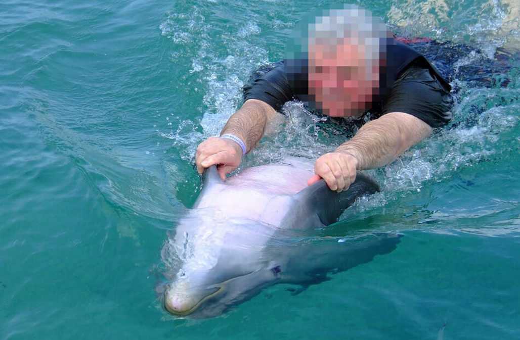 Mann schwimmt mit Delfin