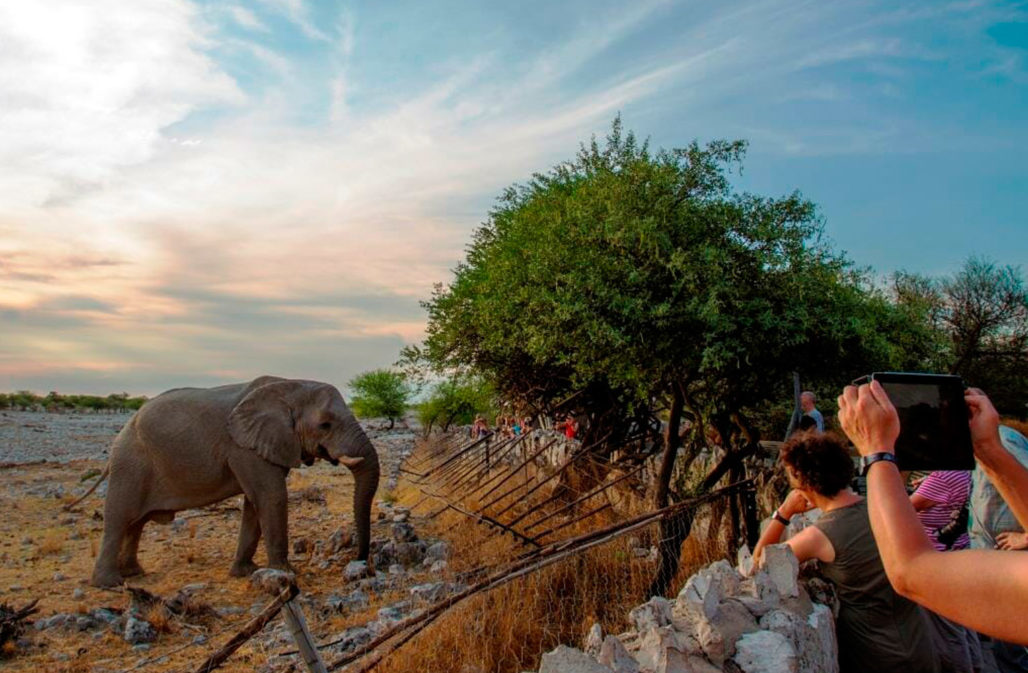 Touristen und ein Elefant © Yathin Krishnappa