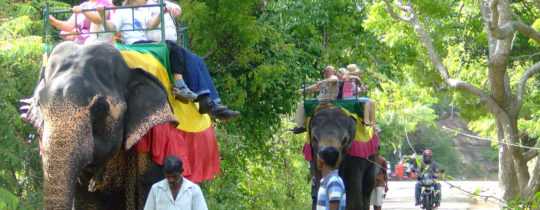 Elefantentourismus und Elefantenreiten