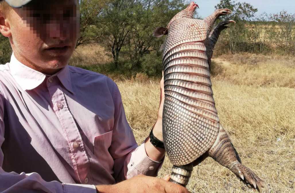 Bushmeat in Südamerika: Gewildertes Gürteltier in Bolivien © Duston Larsen