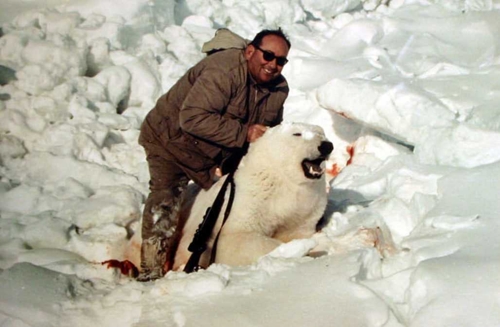 Eisbär bedroht durch Jagd © Adam Baker