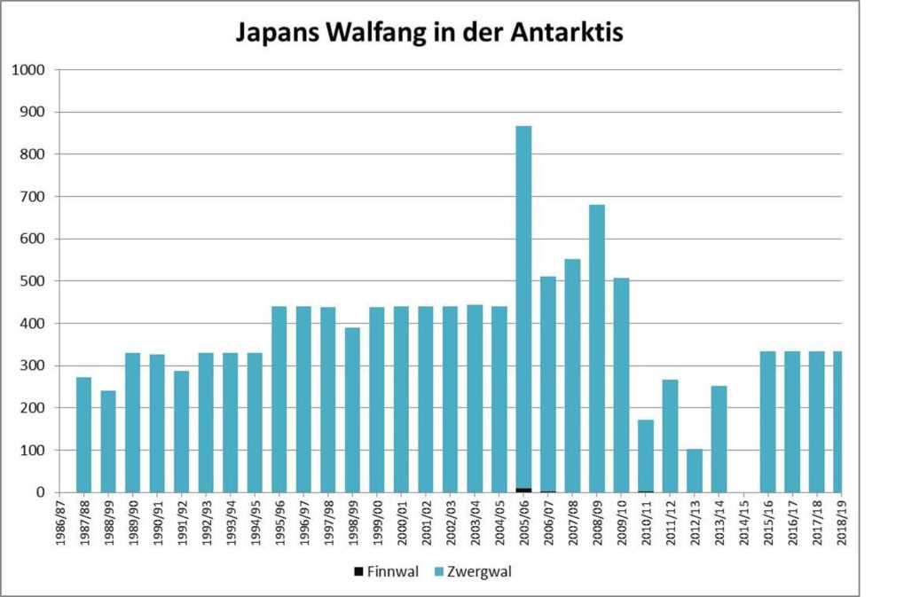 Japans Walfang im Antarktis-Schutzgebiet bis 2019