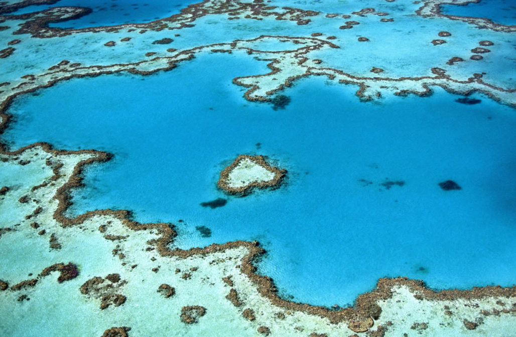 Korallensterben: Das Great Barrier Reef in Australien