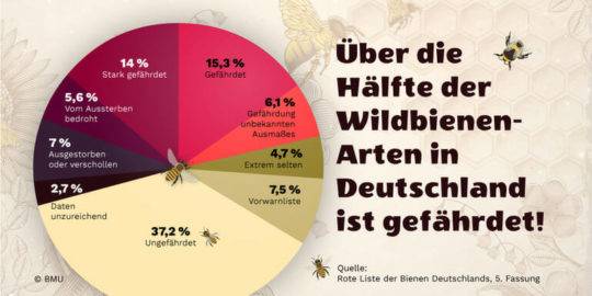 wildtierschutz-vor-der-eigenen-t-r-pro-wildlife