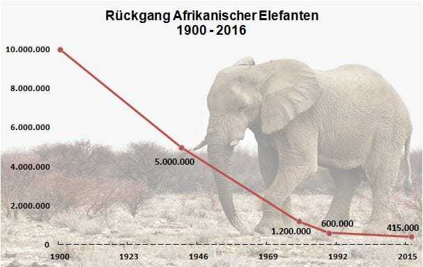 Rückgang Afrikanischer Elefanten