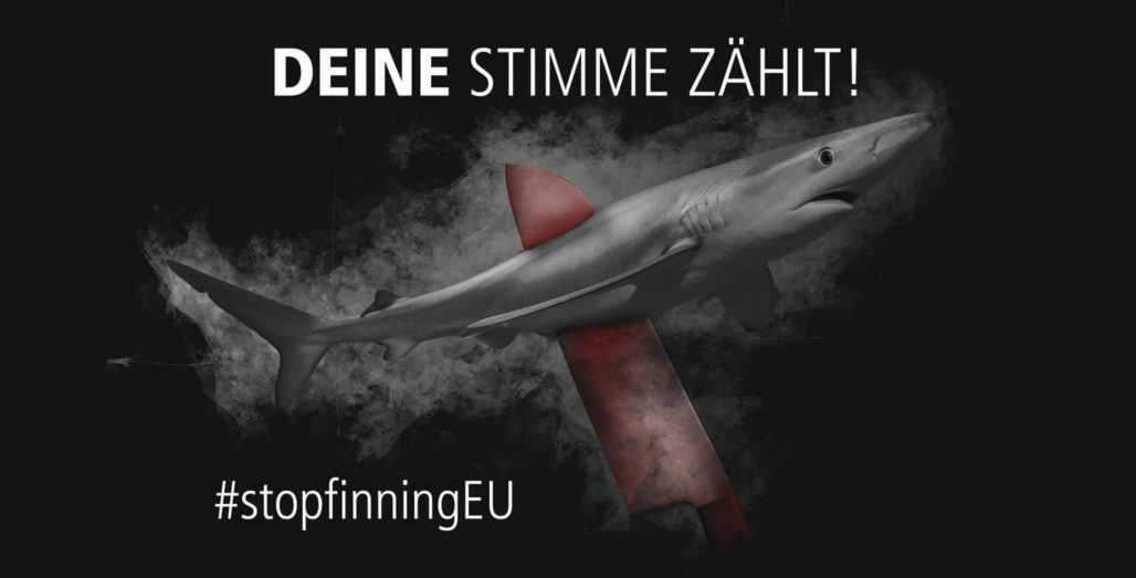 Erfolge politische Arbeit bei Deine Stimme gegen Finning © Shark Project