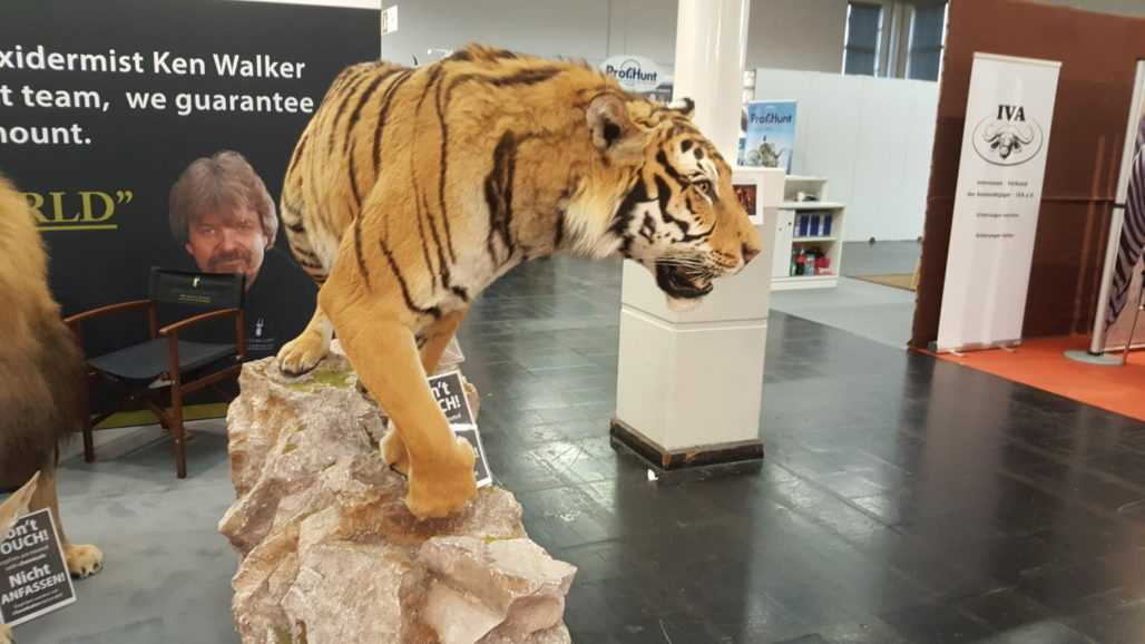 Tiger-Trophäe auf Jagdmesse in Dortmund