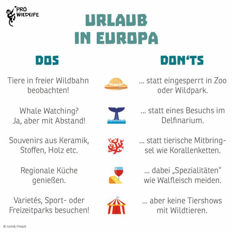 Urlaubstipps