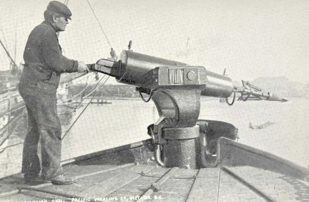 Walfänger mit Harpune, Kanada um 1910 © British Columbia Bureau of Provincial Information