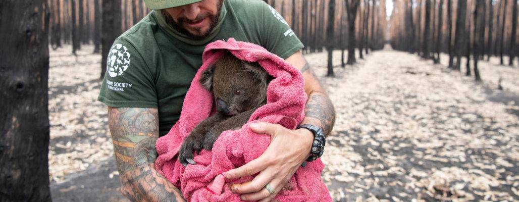 Australien: Wildtierrettung