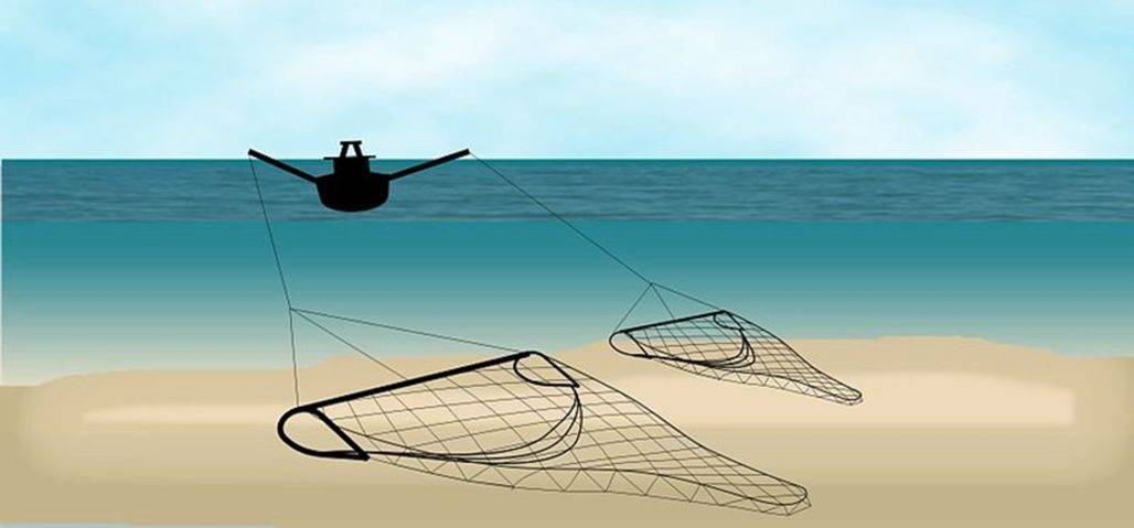 Eine der Fischereimethoden: Die Grundschleppnetzfischerei hinterlässt auf dem Meeresboden eine Spur der Verwüstung © Ecomare/Oscar Bos