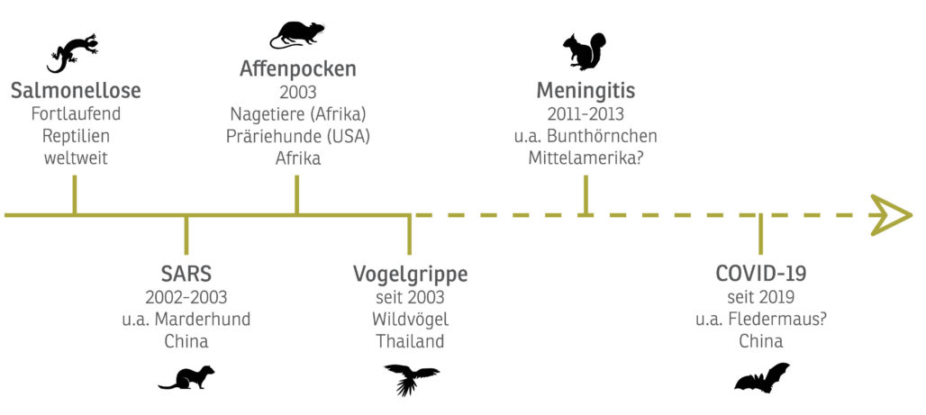 Gesundheitsrisiken des internationalen Wildtierhandels: Beispiele von Zoonosen (Zeitliches Aufkommen, Zwischen-/Wirt, Ursprung)