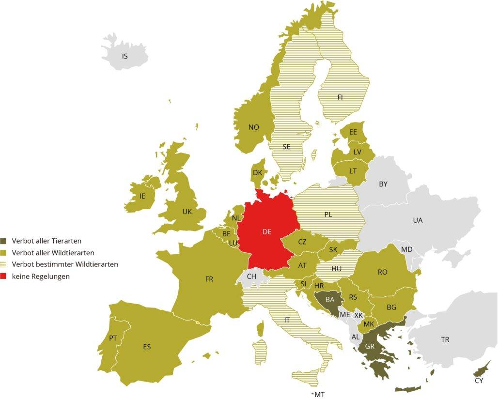 Europakarte: Verbote für Wildtiere im Zirkus