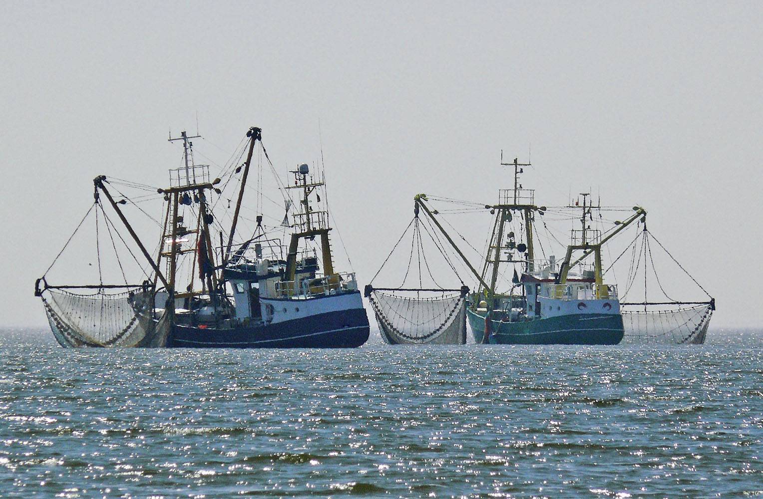 Fischereiflotten