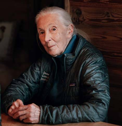 Jane Goodall © Patrick Zeitler