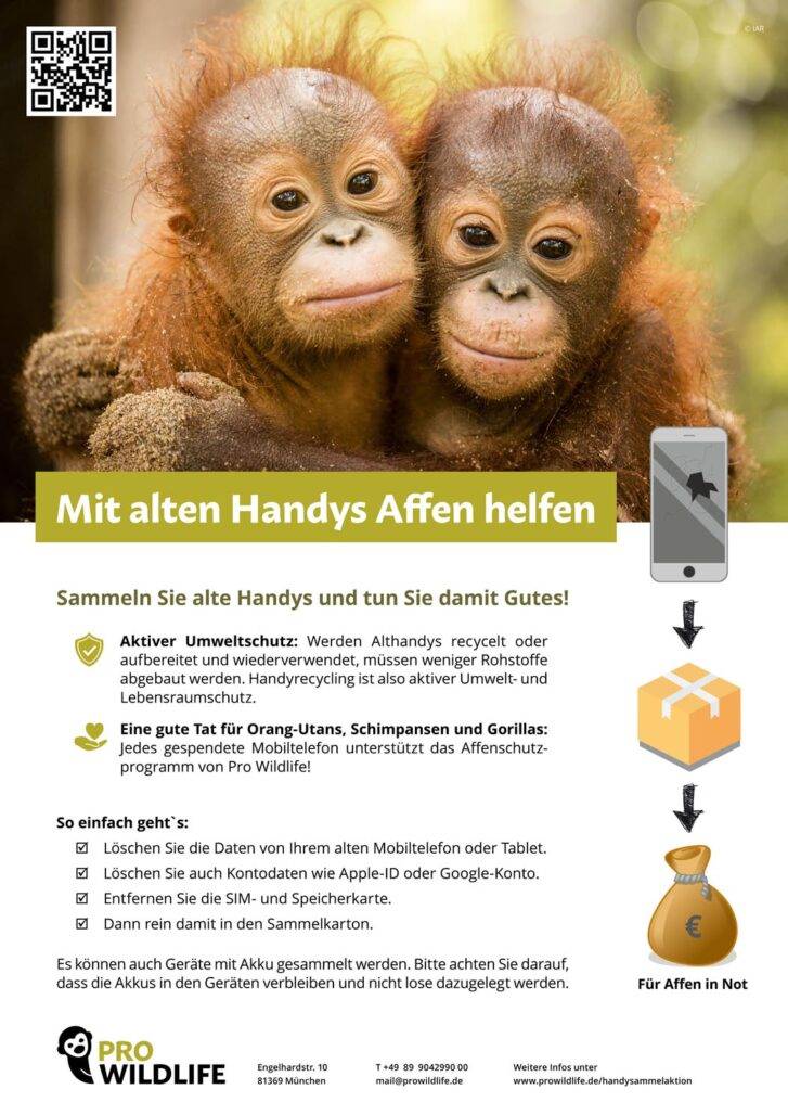 Handys sammeln