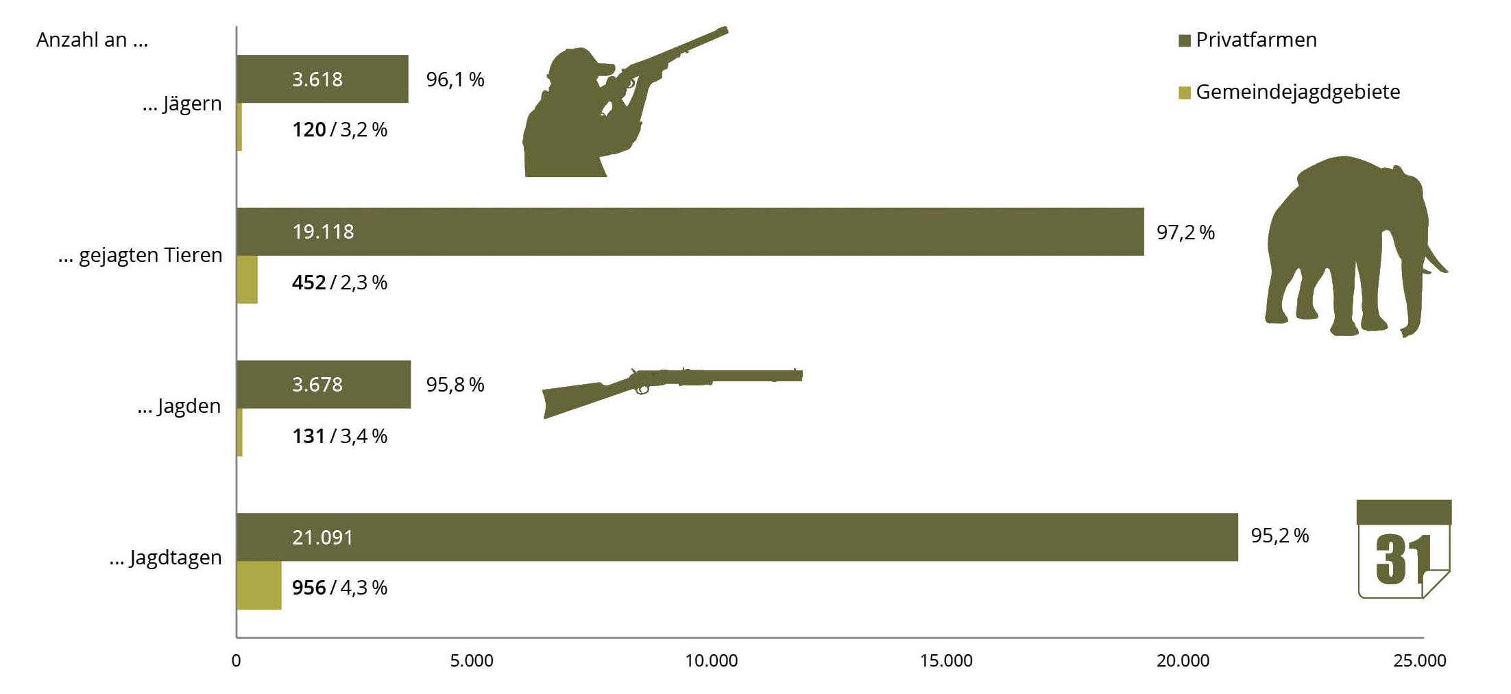 Trophäenjagd in Namibia: Wer profitiert wirklich?