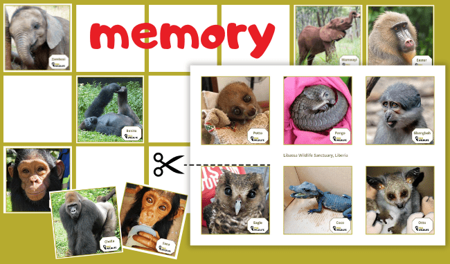 memory-spiel