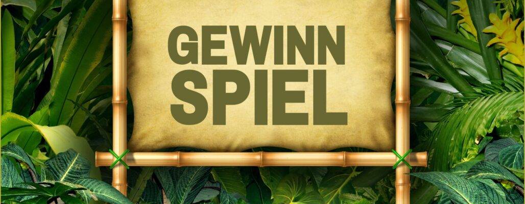 Gewinnspiel