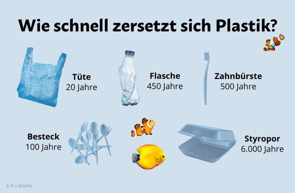 Wie schnell zersetzt sich Plastik?
