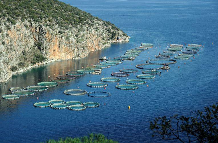 Aquakultur vor der griechischen Küste © GrigoriosMoraitis