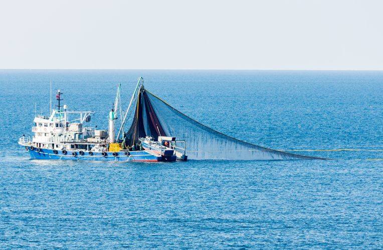 überfischung von 1001slide: Argumente gegen Fischkonsum