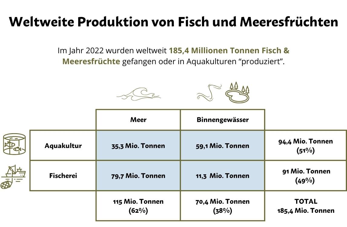 Weltweite Produktion von Fisch und Meeresfrüchten