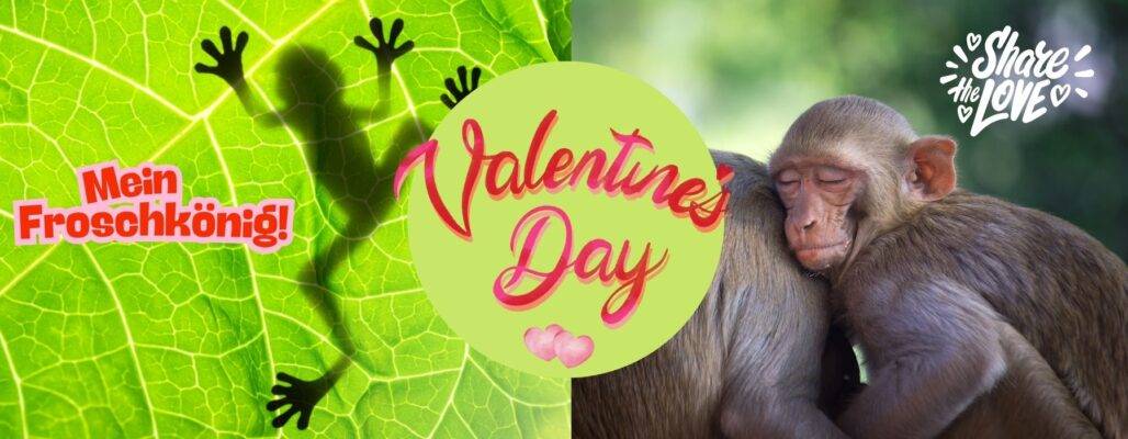 Zum Valentinstag eine Spende schenken