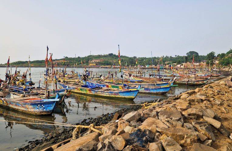 Delfinjagd in Ghana Hafen