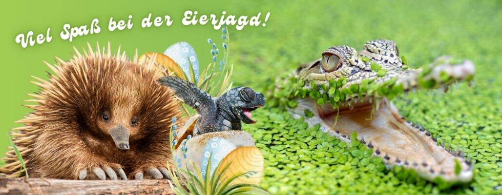 Zu Ostern eine Spende schenken