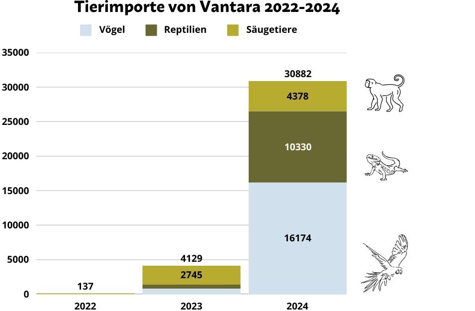 Tierimporte von Vantara 2022-2024