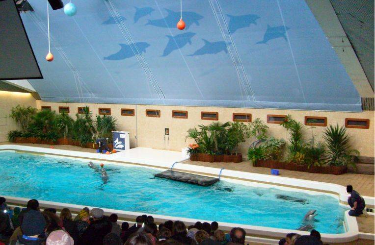 Delfinarium im Tiergarten Nürnberg
