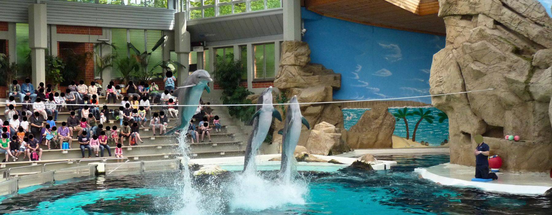 Petition für ein Ende der Delfinarien in Deutschland