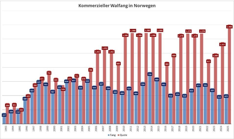 Norwegens Walfang: Quoten und tatsächlicher Fang (Stand: September 2025)
