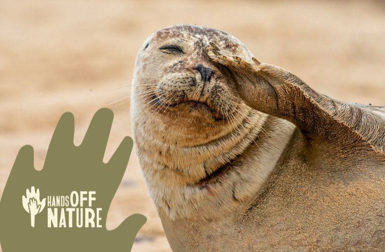 hands off nature kampagne  © Panda Prints