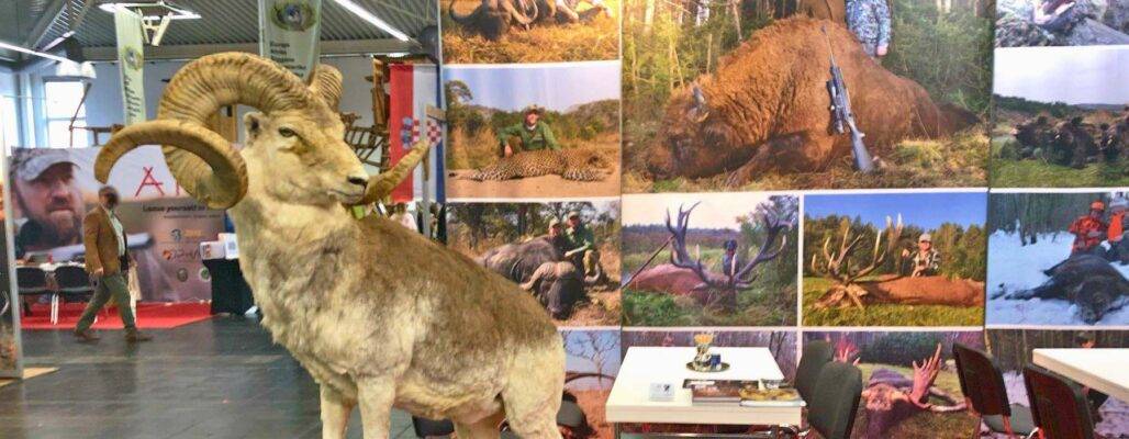 Wahl in Dortmund 2025: Trophäenjagd auf der JAGD & HUND im Fokus