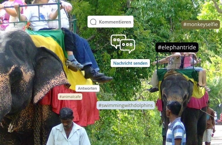 Mitmachaktion Wildtierschutz im Urlaub