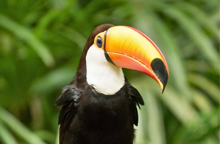 Weihnachtsgeschenk Spende