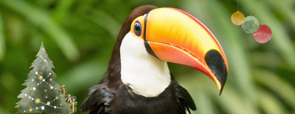 Ein Weihnachtsgeschenk für Wildtiere