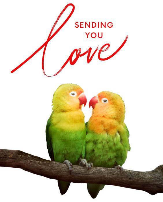 Geschenke zum Valentinstag