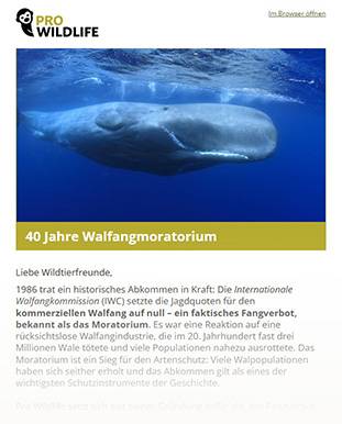 newsletter pro wildlife