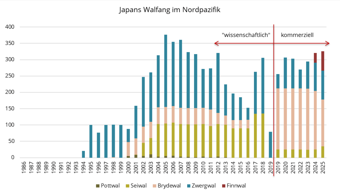Japans Walfang im Nordpazifik bis 2025