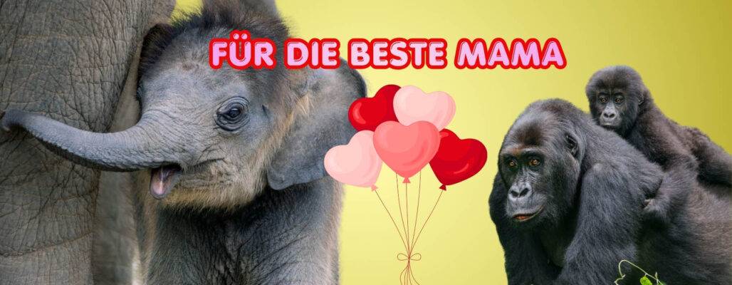 Tierliebe zum Muttertag schenken!