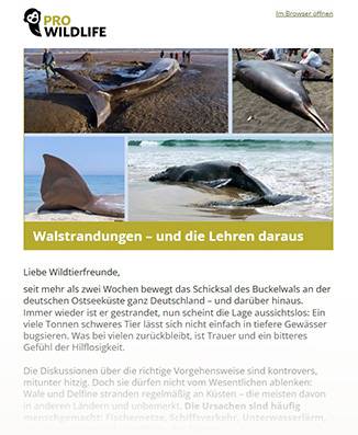 newsletter pro wildlife