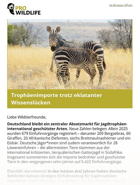 newsletter pro wildlife