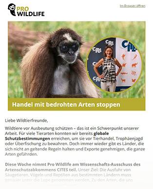 newsletter pro wildlife